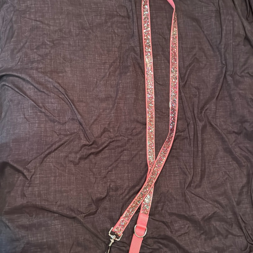 Dog leash